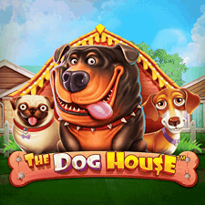 The Dog House